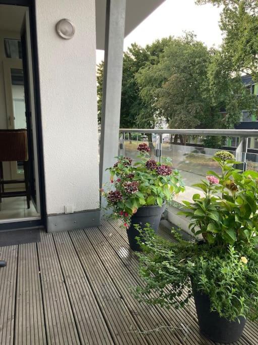 Ferienwohnung In Der Naehe Von Koeln Frechen Ngoại thất bức ảnh